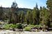 2015-06-28, 017, Yosemite NP, Yosemite Creek, CA