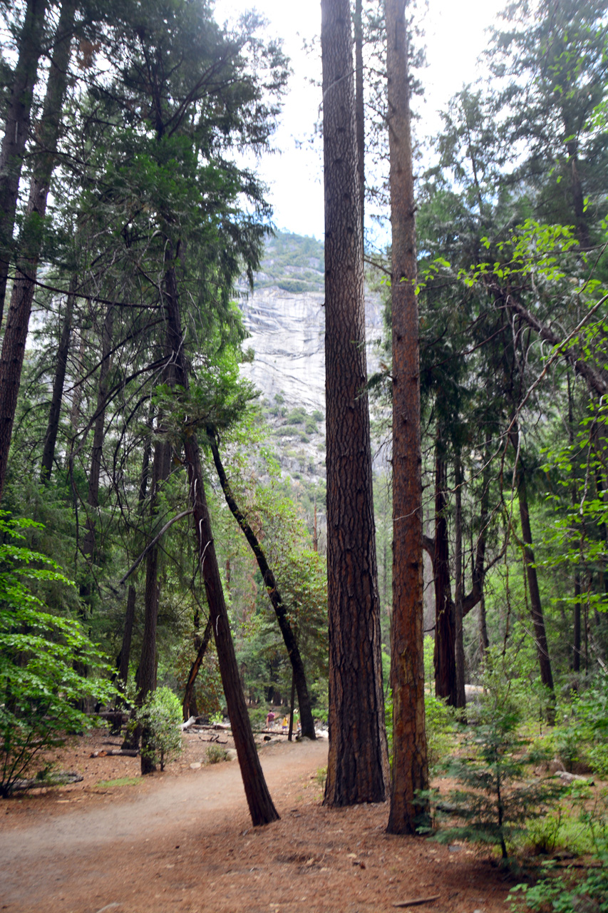 2015-06-29, 009, Yosemite NP, Happy Isles, CA