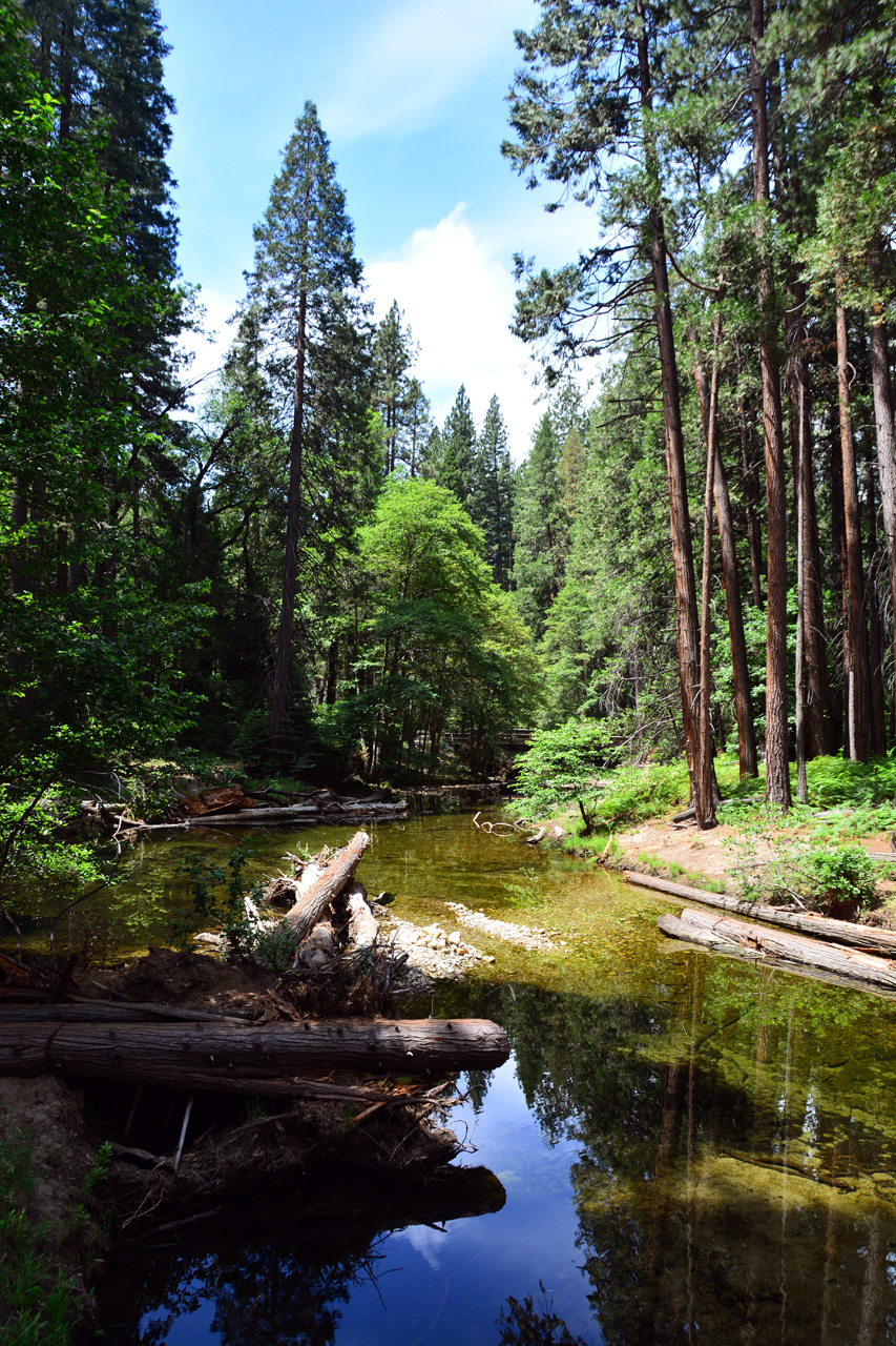 2015-06-29, 015, Yosemite NP, Yosemite Falls, CA