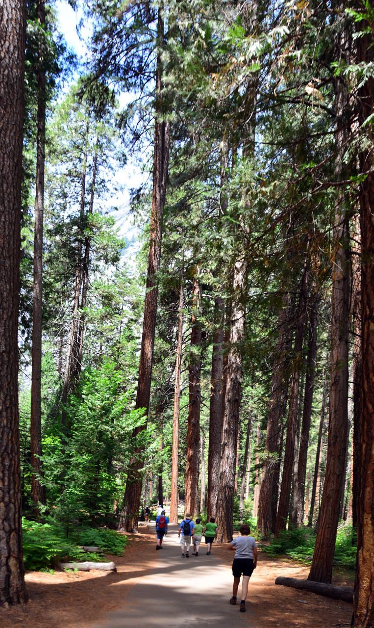 2015-06-29, 017, Yosemite NP, Yosemite Falls, CA