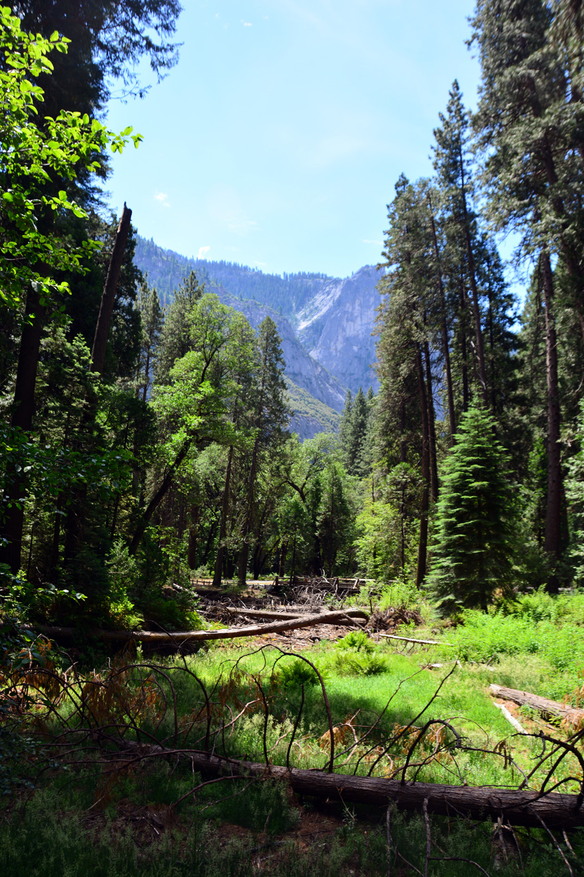 2015-06-29, 018, Yosemite NP, Yosemite Falls, CA