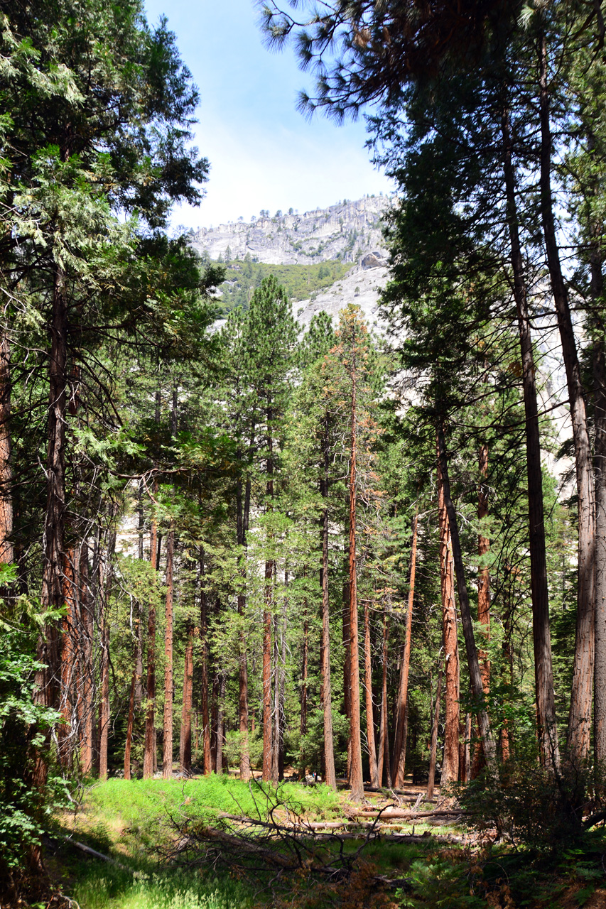 2015-06-29, 019, Yosemite NP, Yosemite Falls, CA