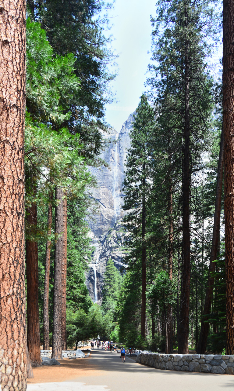 2015-06-29, 023, Yosemite NP, Yosemite Falls, CA