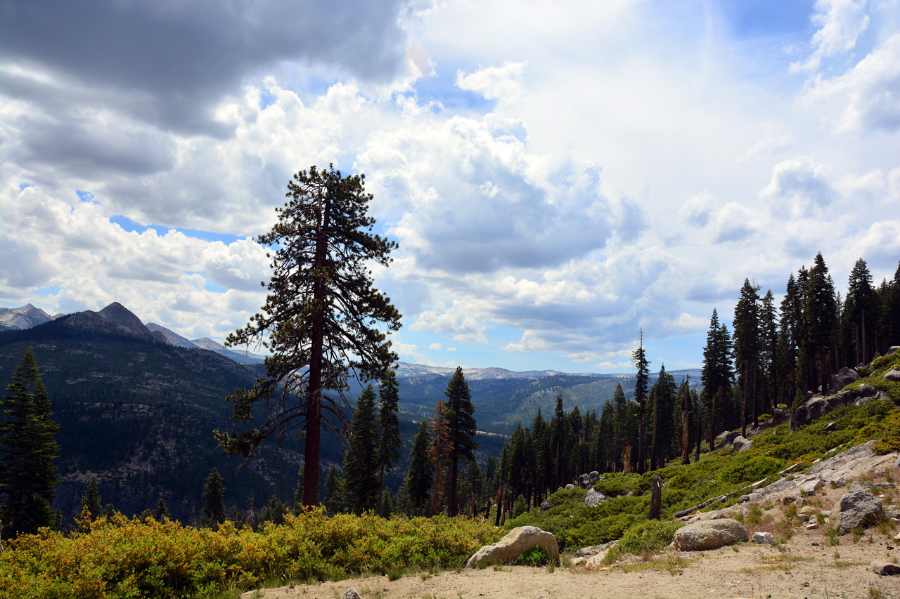 2015-06-30, 031, Yosemite NP, Glacier Point, CA