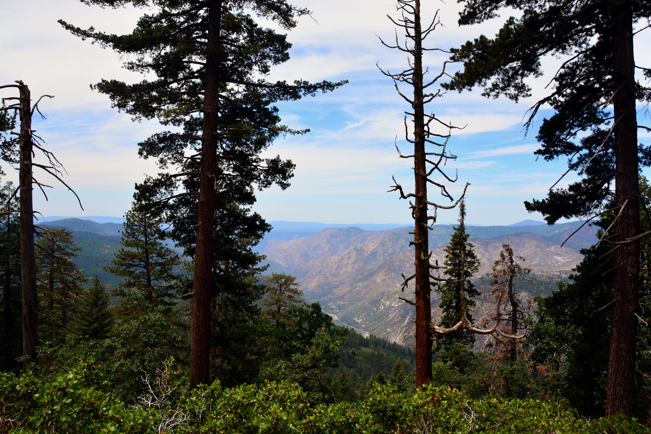 2015-06-30, 047, Yosemite NP, Upper Valley View, CA