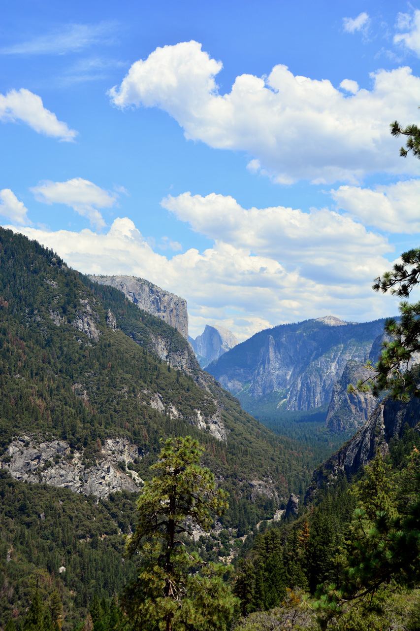 2015-06-30, 049, Yosemite NP, Upper Valley View, CA