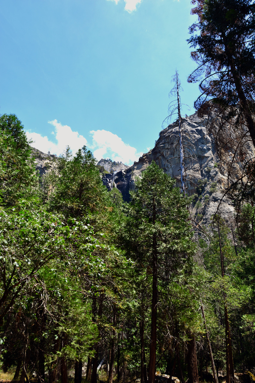 2015-06-30, 052, Yosemite NP, Bridalveil Falls, CA