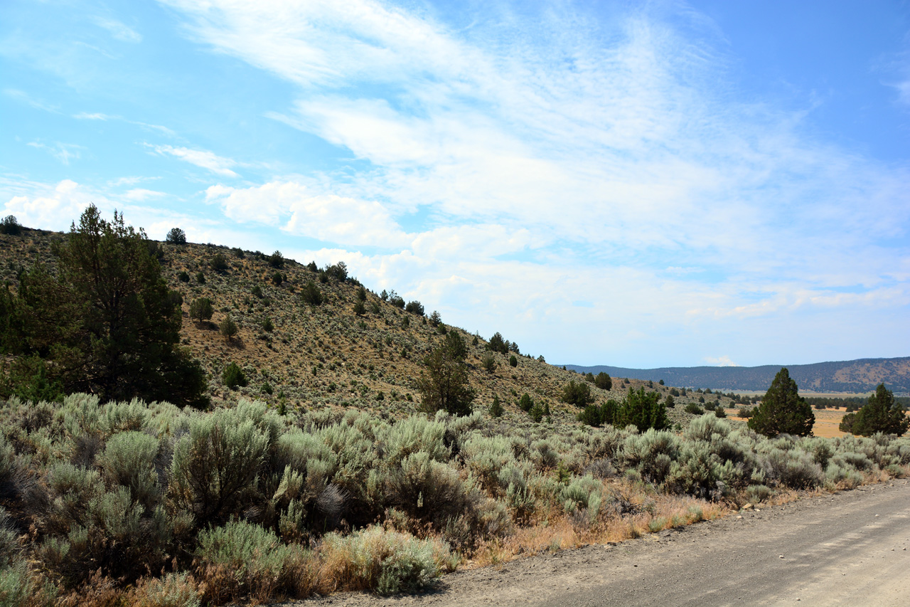 2015-07-06, 003, Near Yreka