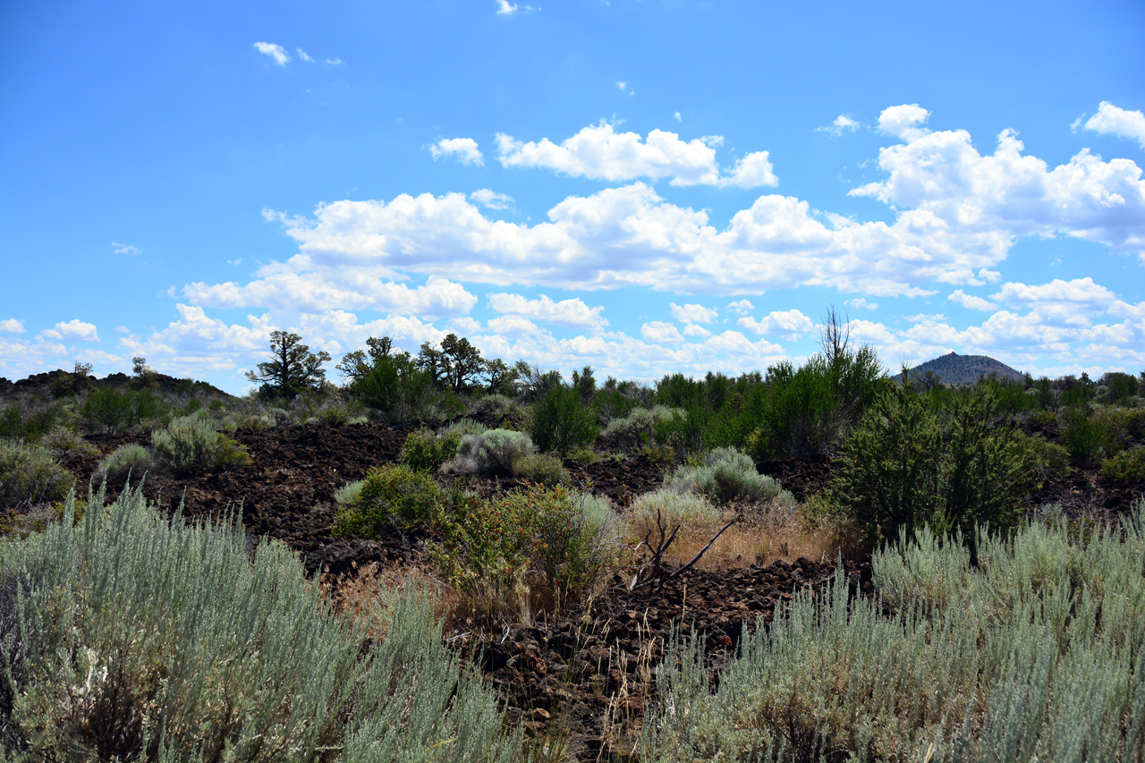2015-07-06, 018, Lava Beds NP, Black Crater Trail, CA