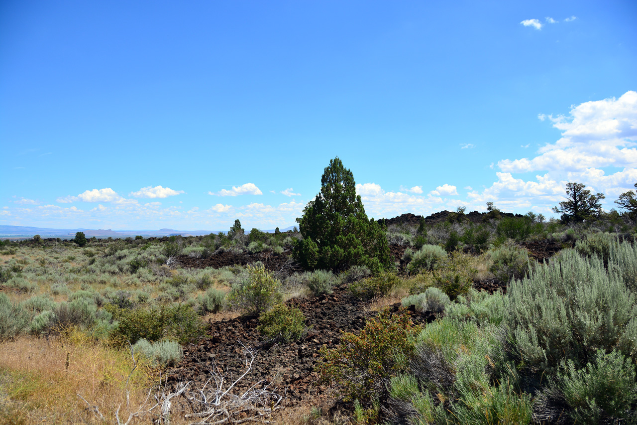 2015-07-06, 019, Lava Beds NP, Black Crater Trail, CA