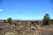 2015-07-06, 024, Lava Beds NP, Black Crater Trail, CA