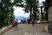 2015-07-09, 002, Crater Lake Lodge and Area