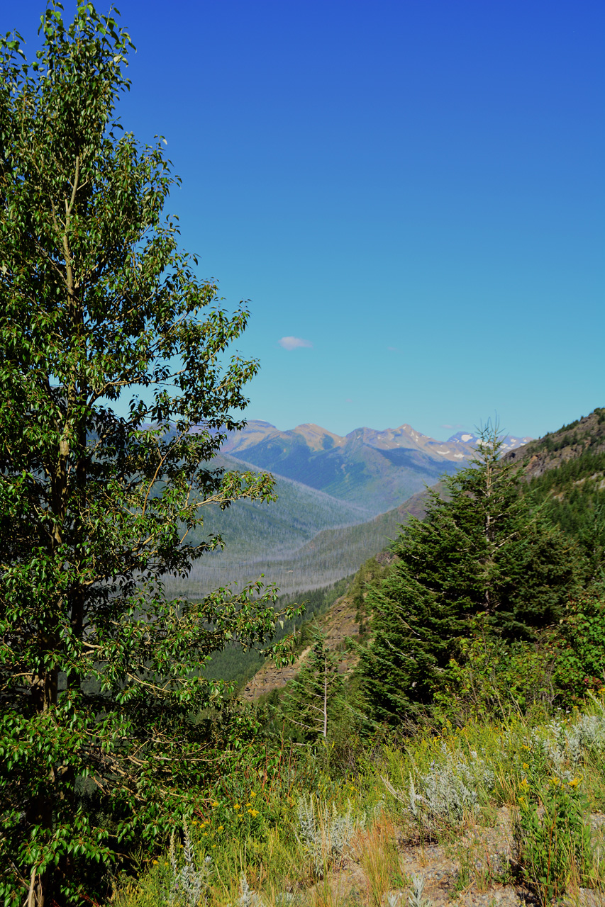 2015-07-18, 029, Glacier NP, MT, Near - The Loop - area