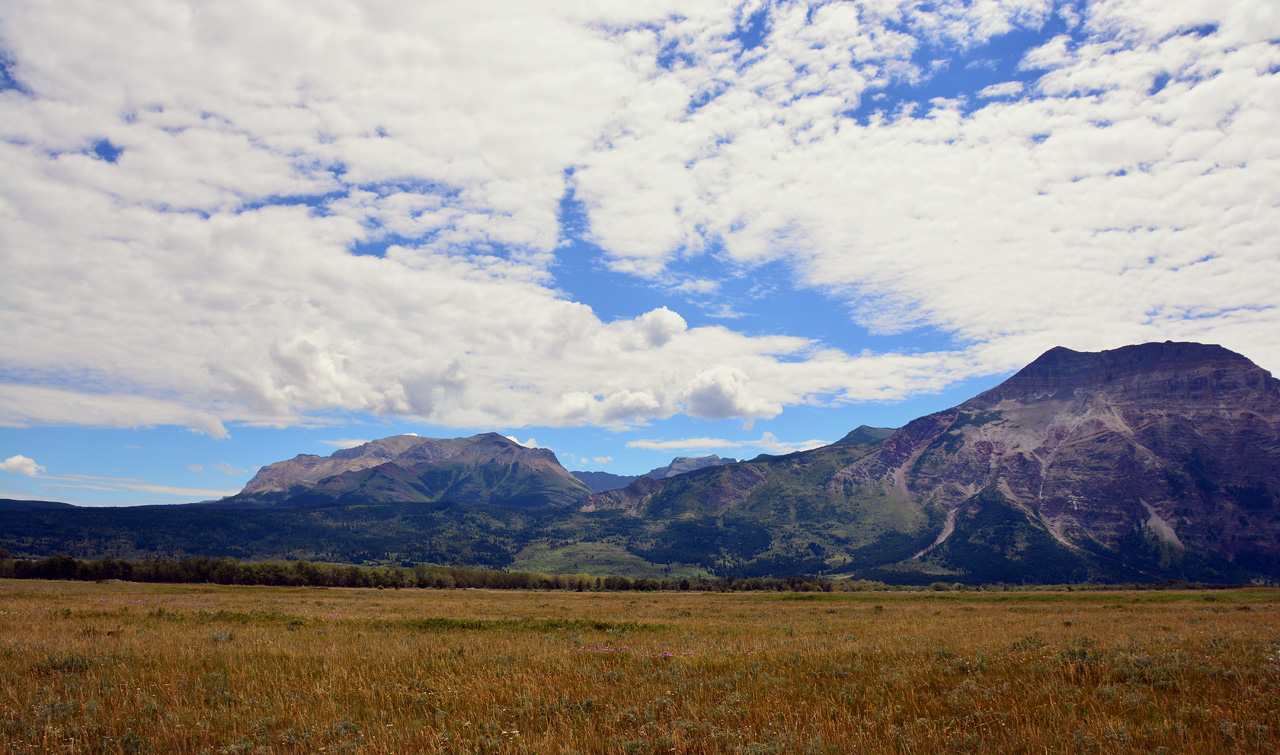 2015-07-19, 020, Waterton Lakes NP, Canada, Chief Mtn Hwy