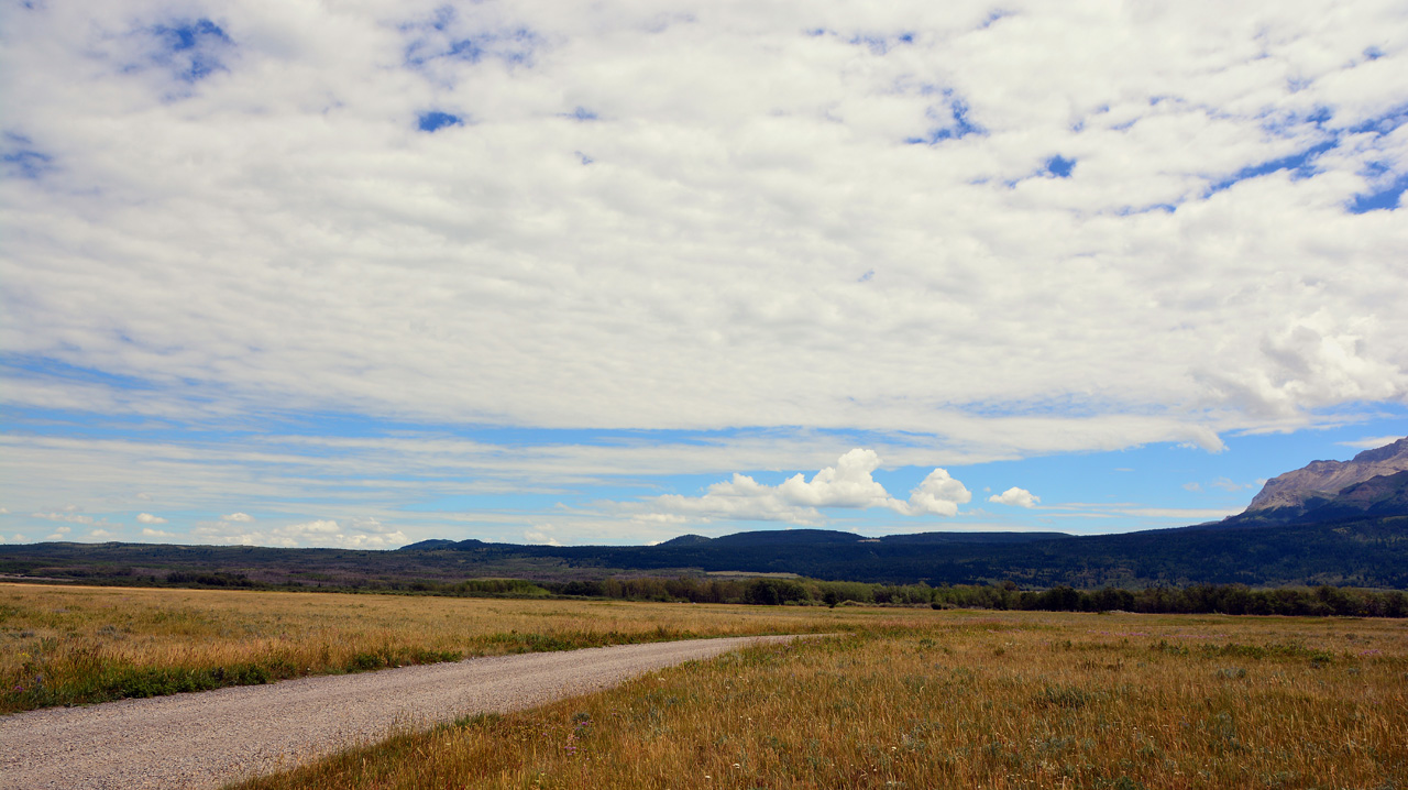 2015-07-19, 021, Waterton Lakes NP, Canada, Along Red Rock Pwy 