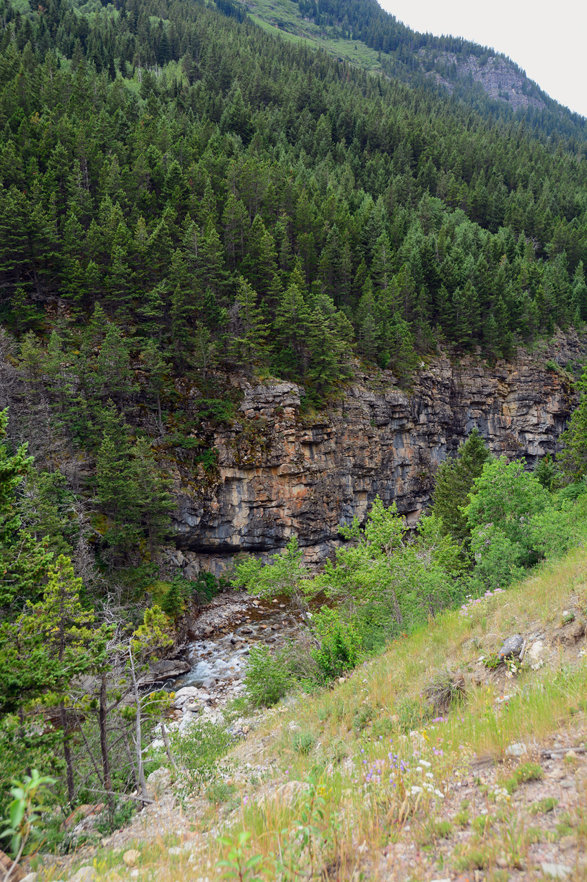 2015-07-19, 055, Waterton Lakes NP, Canada, Along Akamina Pwy