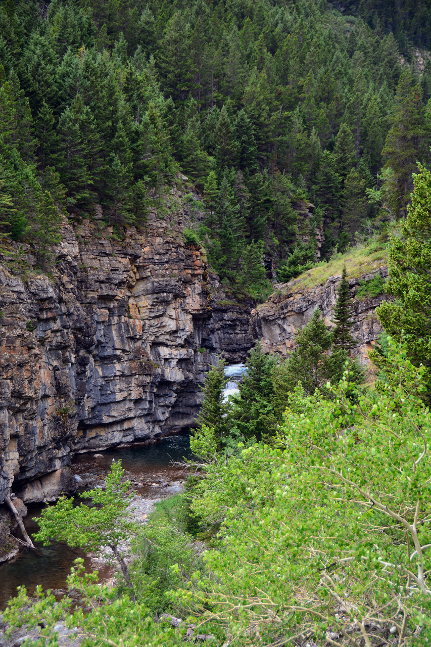 2015-07-19, 058, Waterton Lakes NP, Canada, Along Akamina Pwy