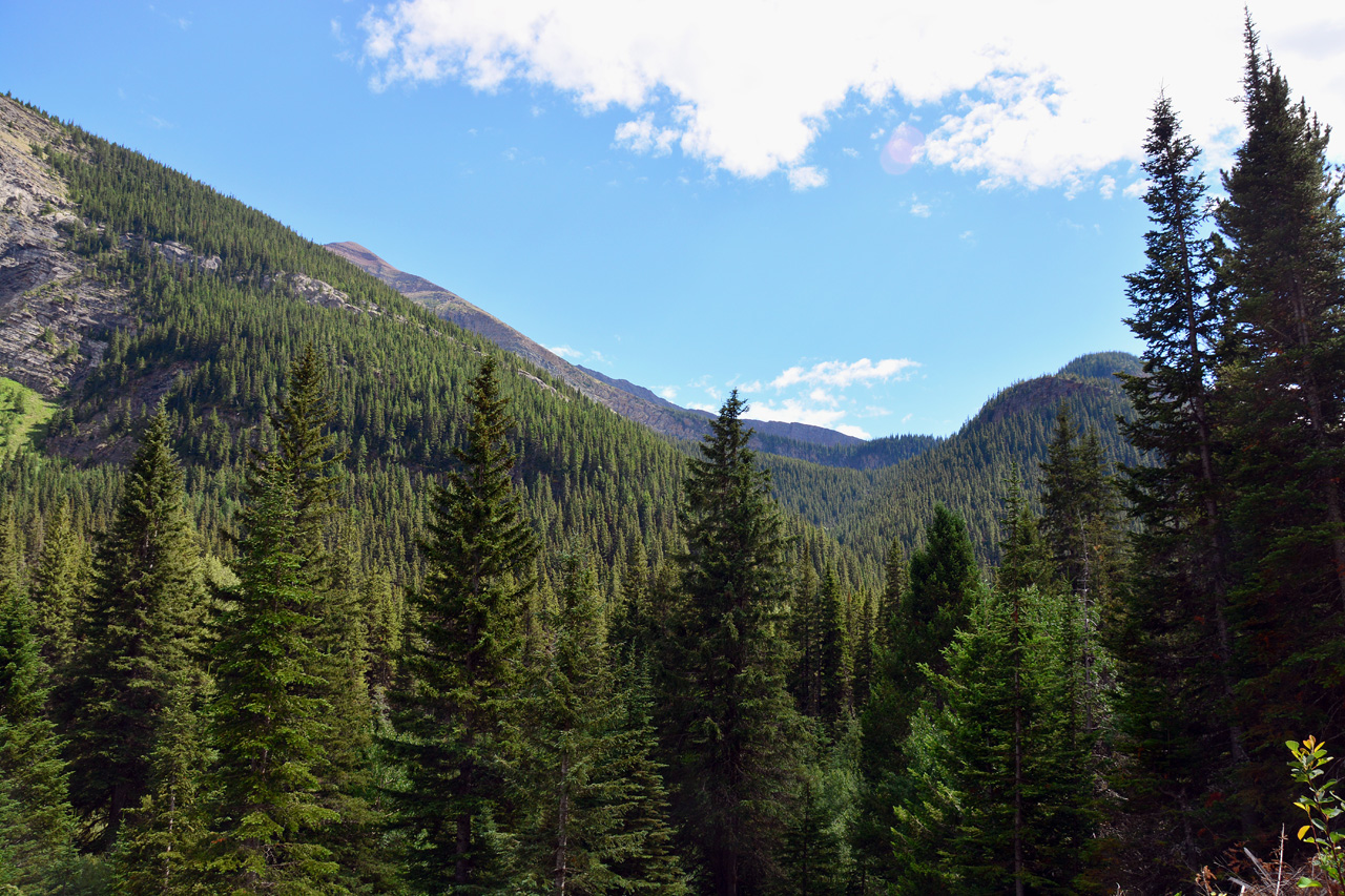 2015-07-19, 071, Waterton Lakes NP, Canada, Along Akamina Pwy