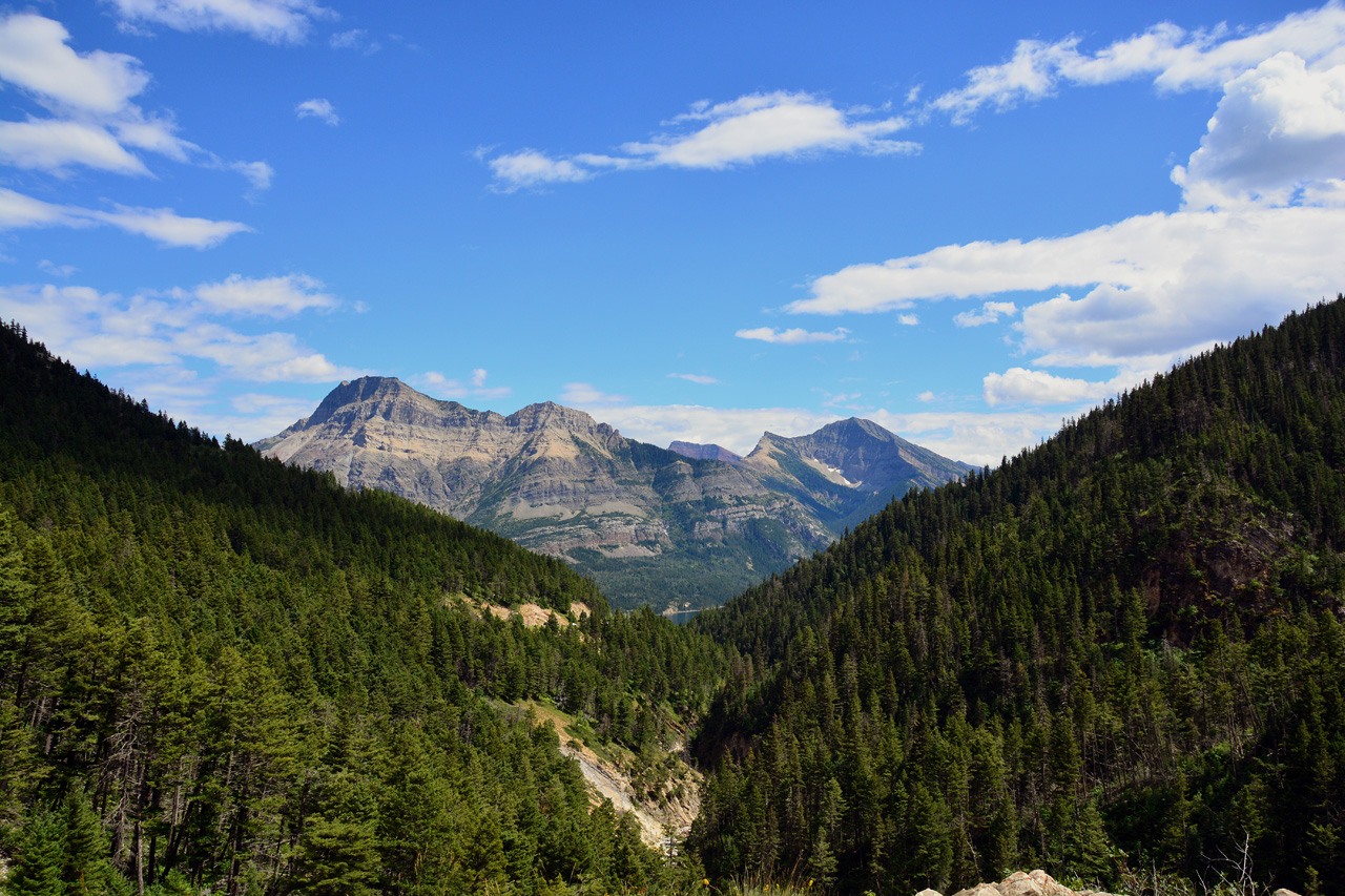 2015-07-19, 080, Waterton Lakes NP, Canada, Along Akamina Pwy