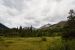 2015-07-19, 039, Waterton Lakes NP, Canada, Along Red Rock Pwy