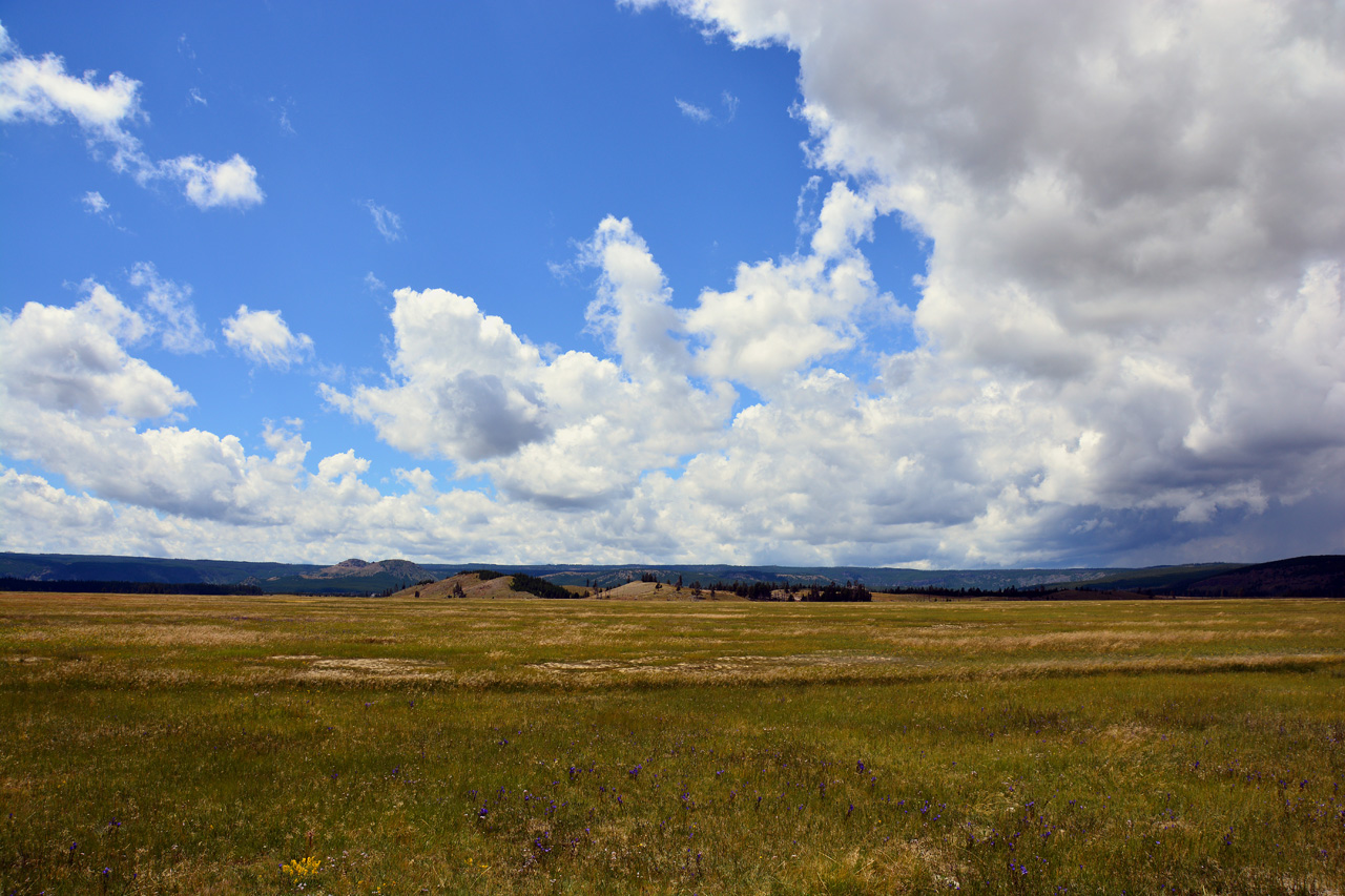 2015-07-23, 014, Yellowstone NP, WY, Lower Geyser Basin