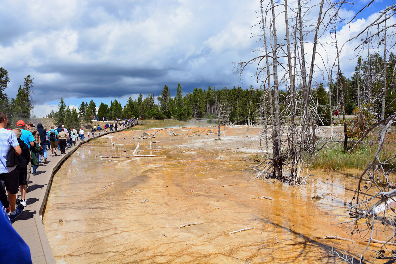 2015-07-23, 016, Yellowstone NP, WY