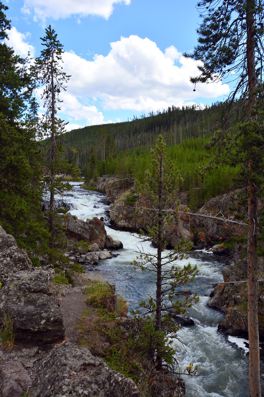 2015-07-23, 048, Yellowstone NP, WY, Firehole Canyon Drive