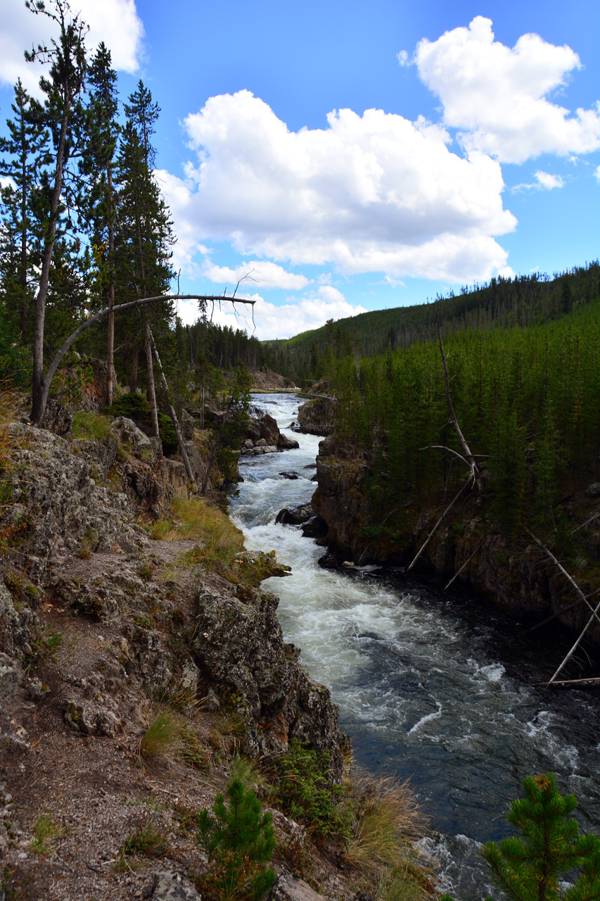 2015-07-23, 050, Yellowstone NP, WY, Firehole Canyon Drive