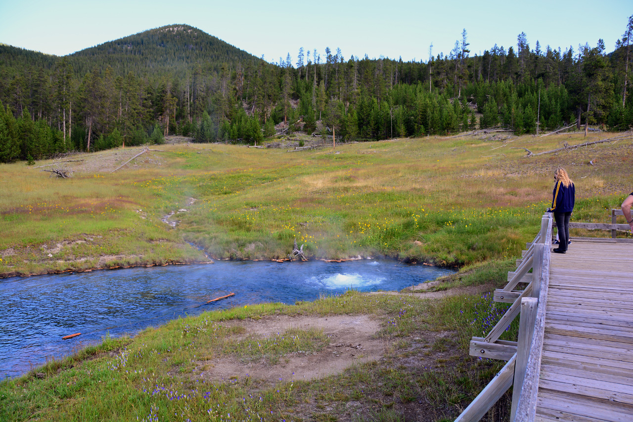 2015-07-26, 004, Yellowstone NP, WY,Terrace Spring