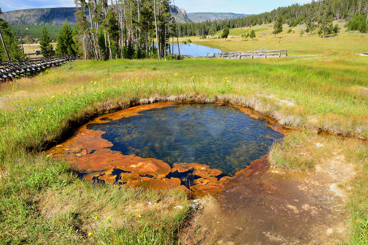 2015-07-26, 010, Yellowstone NP, WY,Terrace Spring