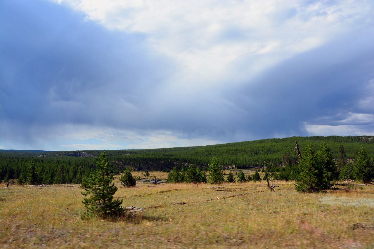2015-07-26, 011, Yellowstone NP, WY