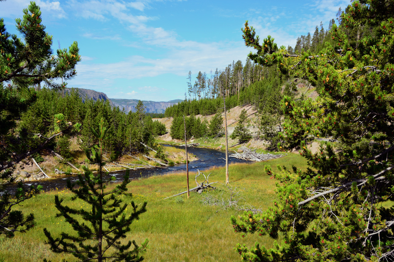 2015-07-26, 013, Yellowstone NP, WY