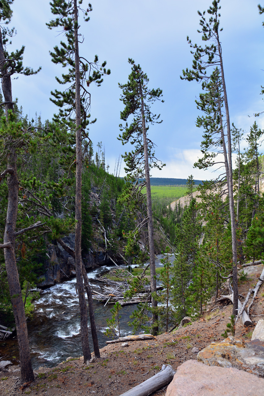 2015-07-26, 014, Yellowstone NP, WY, Gibbon Falls