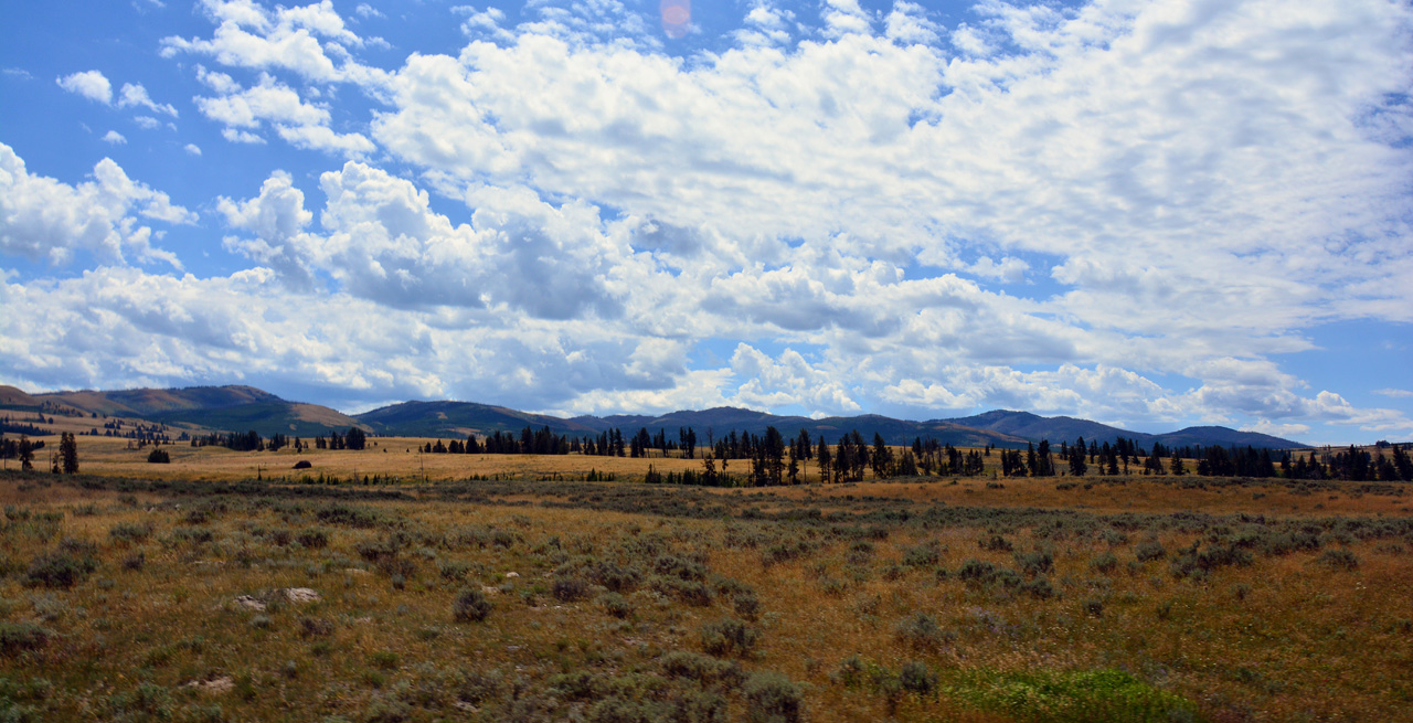 2015-07-26, 052, Yellowstone NP, WY