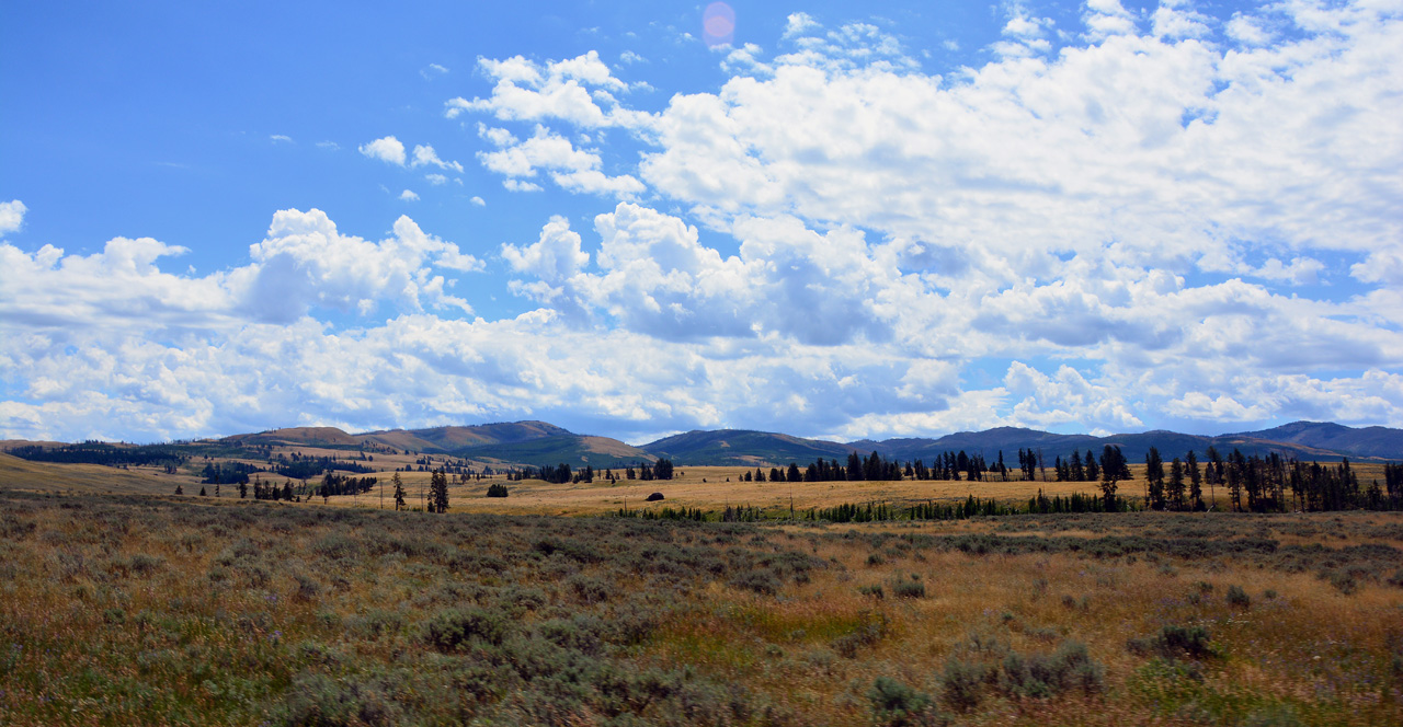 2015-07-26, 053, Yellowstone NP, WY