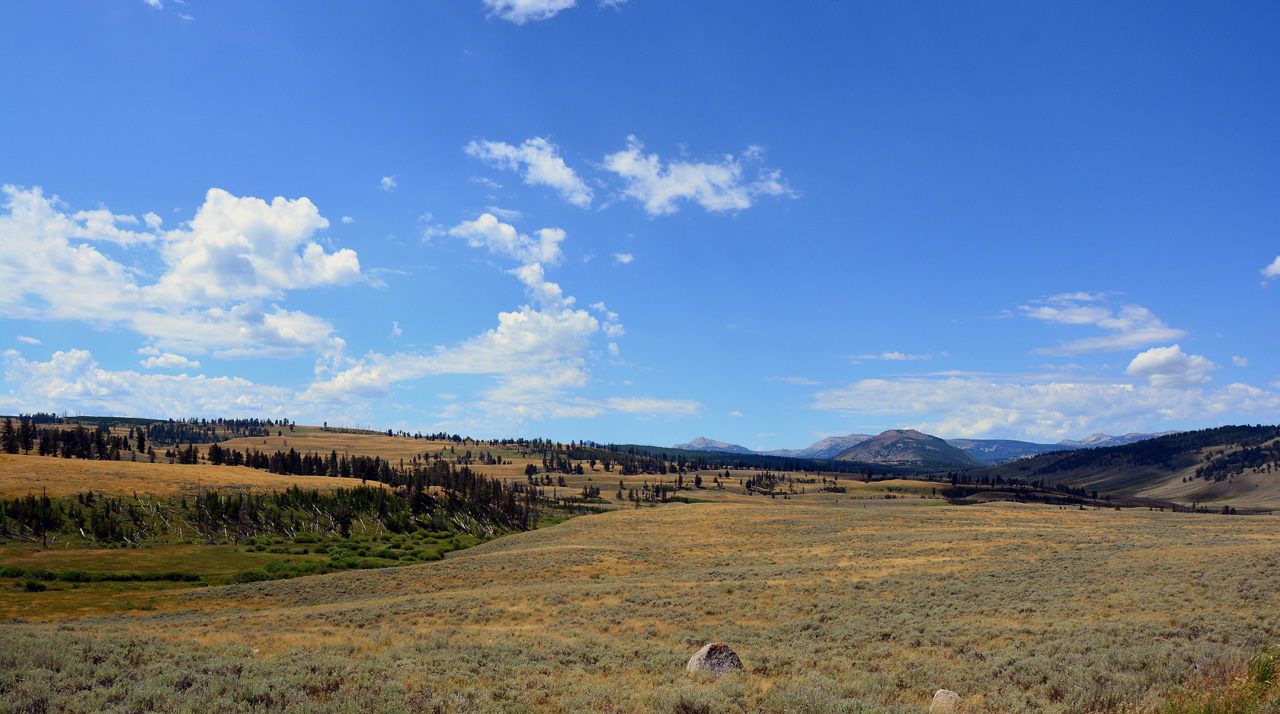 2015-07-26, 054, Yellowstone NP, WY