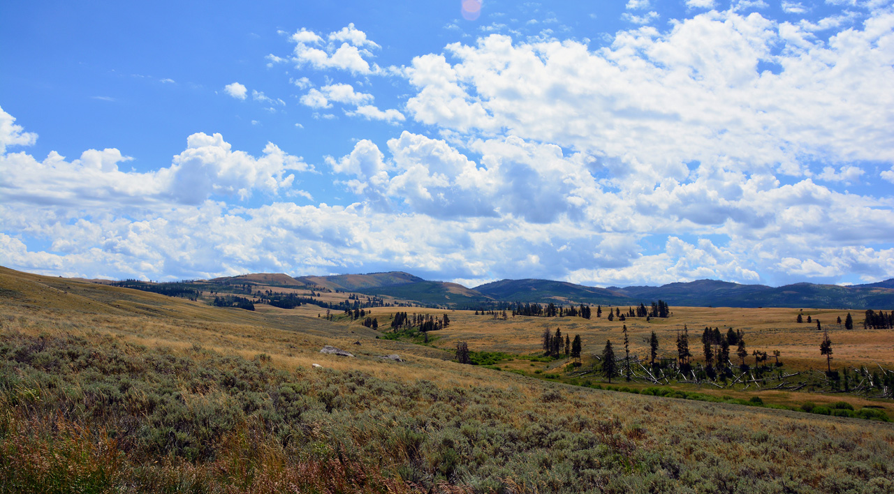 2015-07-26, 055, Yellowstone NP, WY