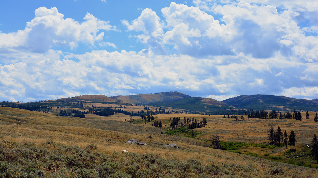 2015-07-26, 056, Yellowstone NP, WY
