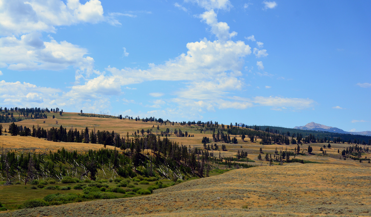2015-07-26, 057, Yellowstone NP, WY