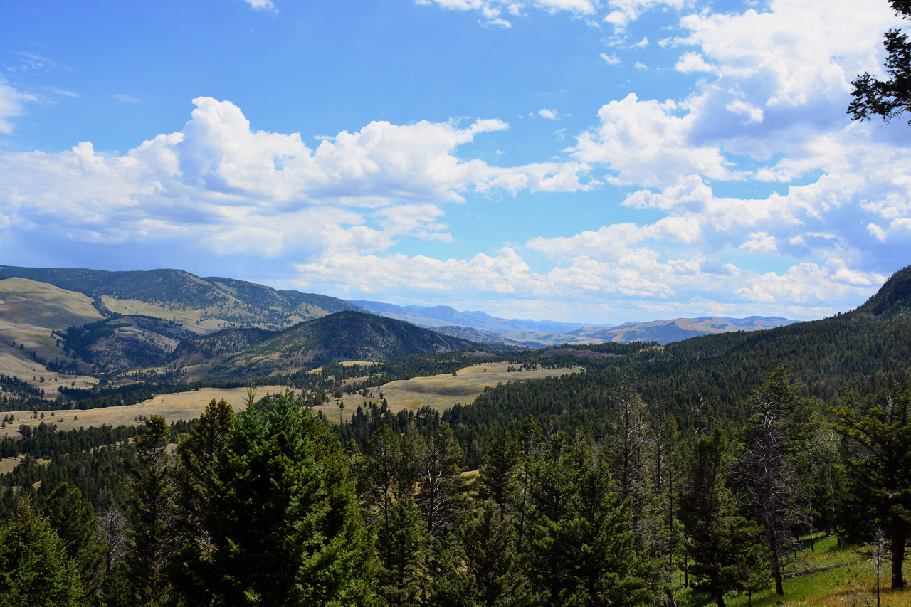 2015-07-26, 059, Yellowstone NP, WY