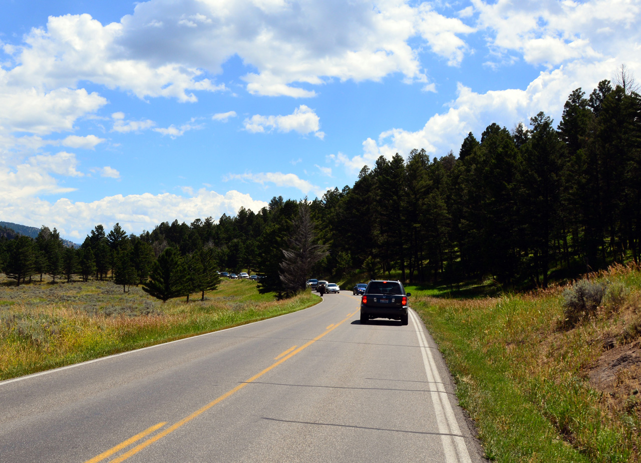 2015-07-26, 062, Yellowstone NP, WY, Buffalo on Road