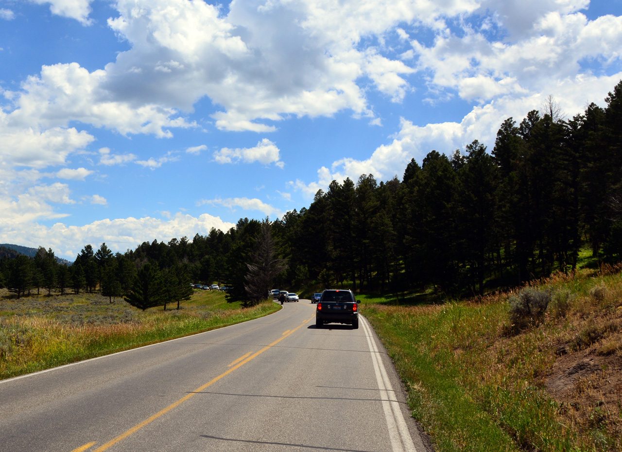 2015-07-26, 063, Yellowstone NP, WY, Buffalo on Road
