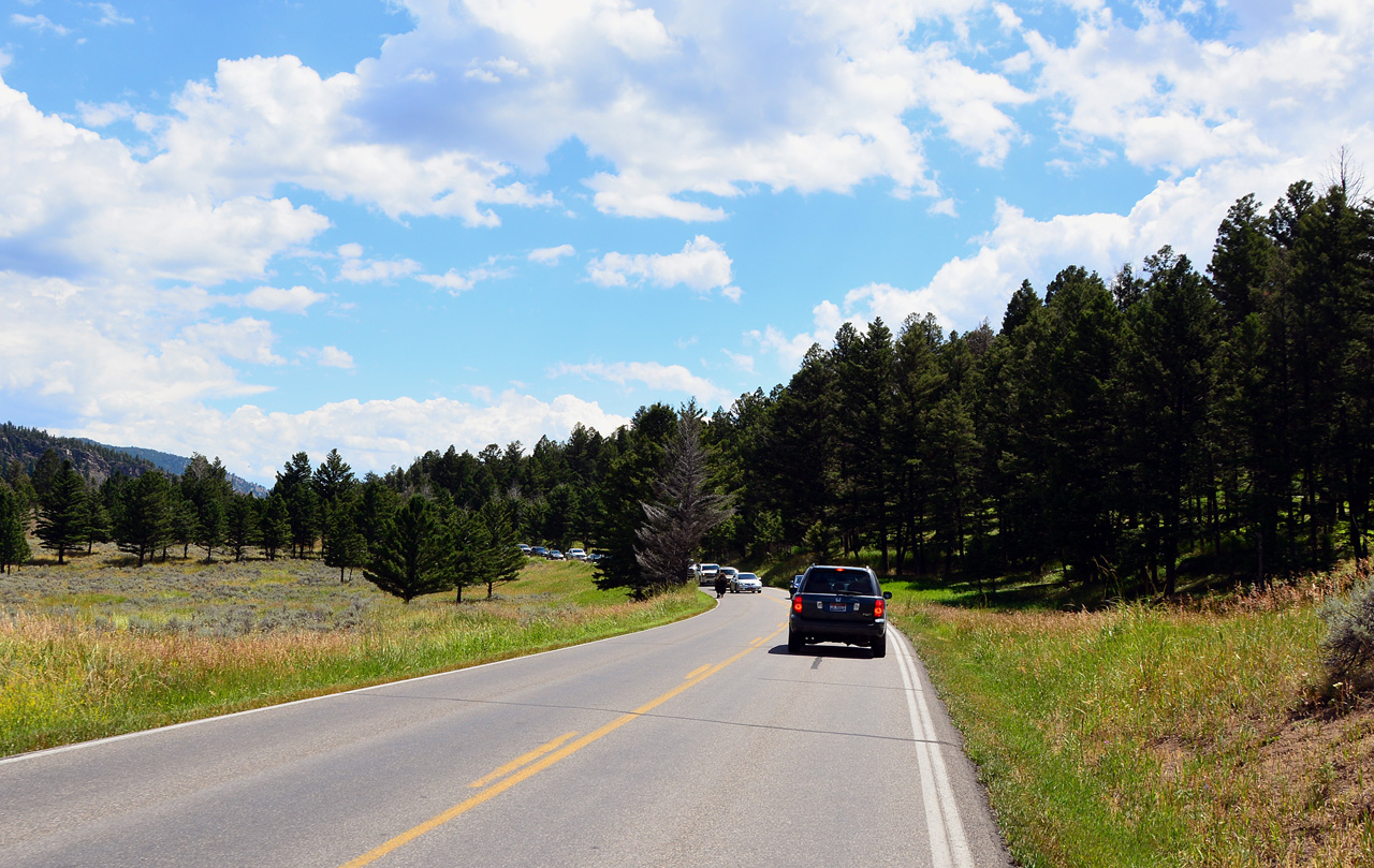 2015-07-26, 064, Yellowstone NP, WY, Buffalo on Road