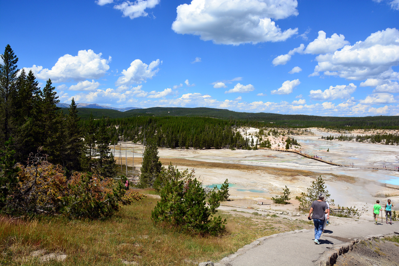 2015-07-26, 088, Yellowstone NP, WY, Norris Geyser Basin