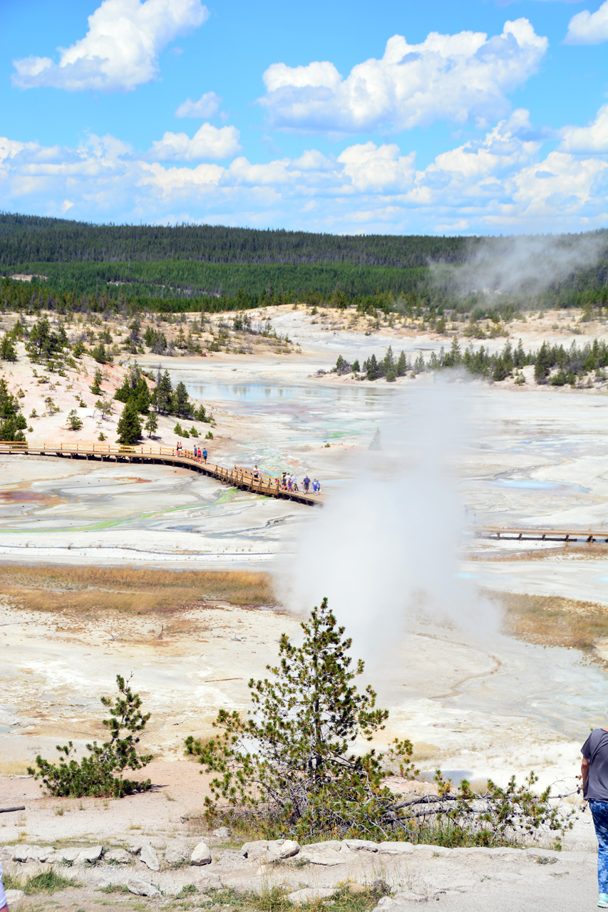 2015-07-26, 089, Yellowstone NP, WY, Norris Geyser Basin