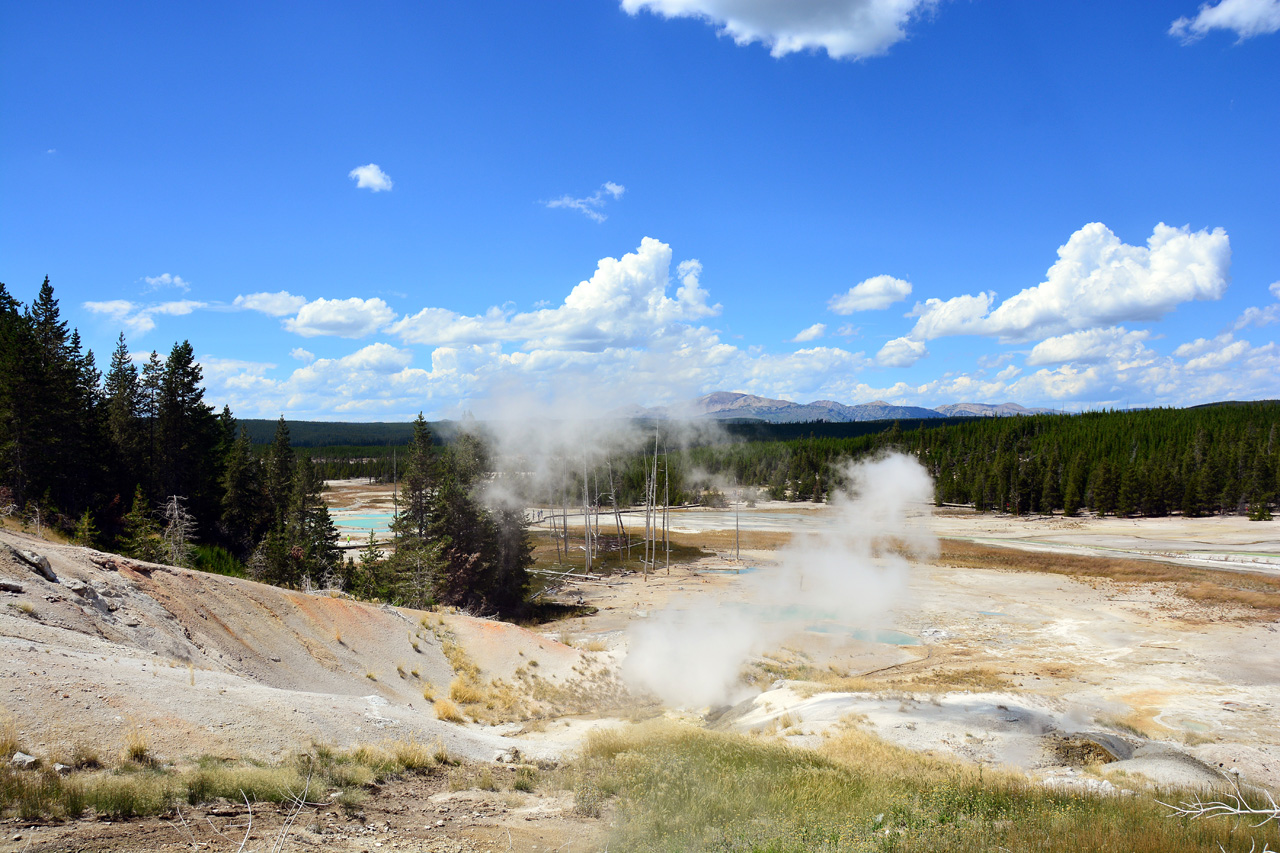 2015-07-26, 092, Yellowstone NP, WY, Norris Geyser Basin