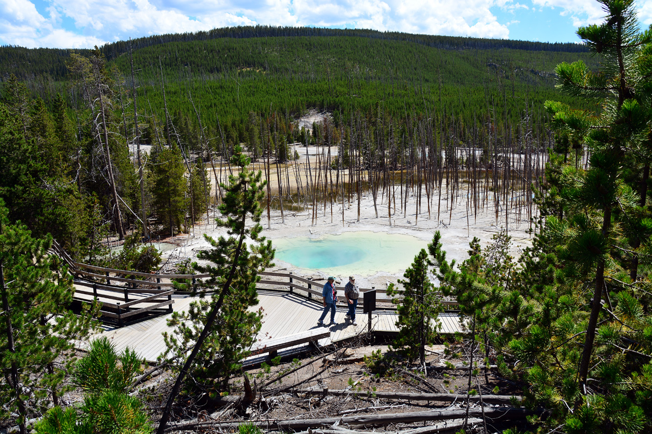 2015-07-26, 104, Yellowstone NP, WY, Norris Geyser Basin