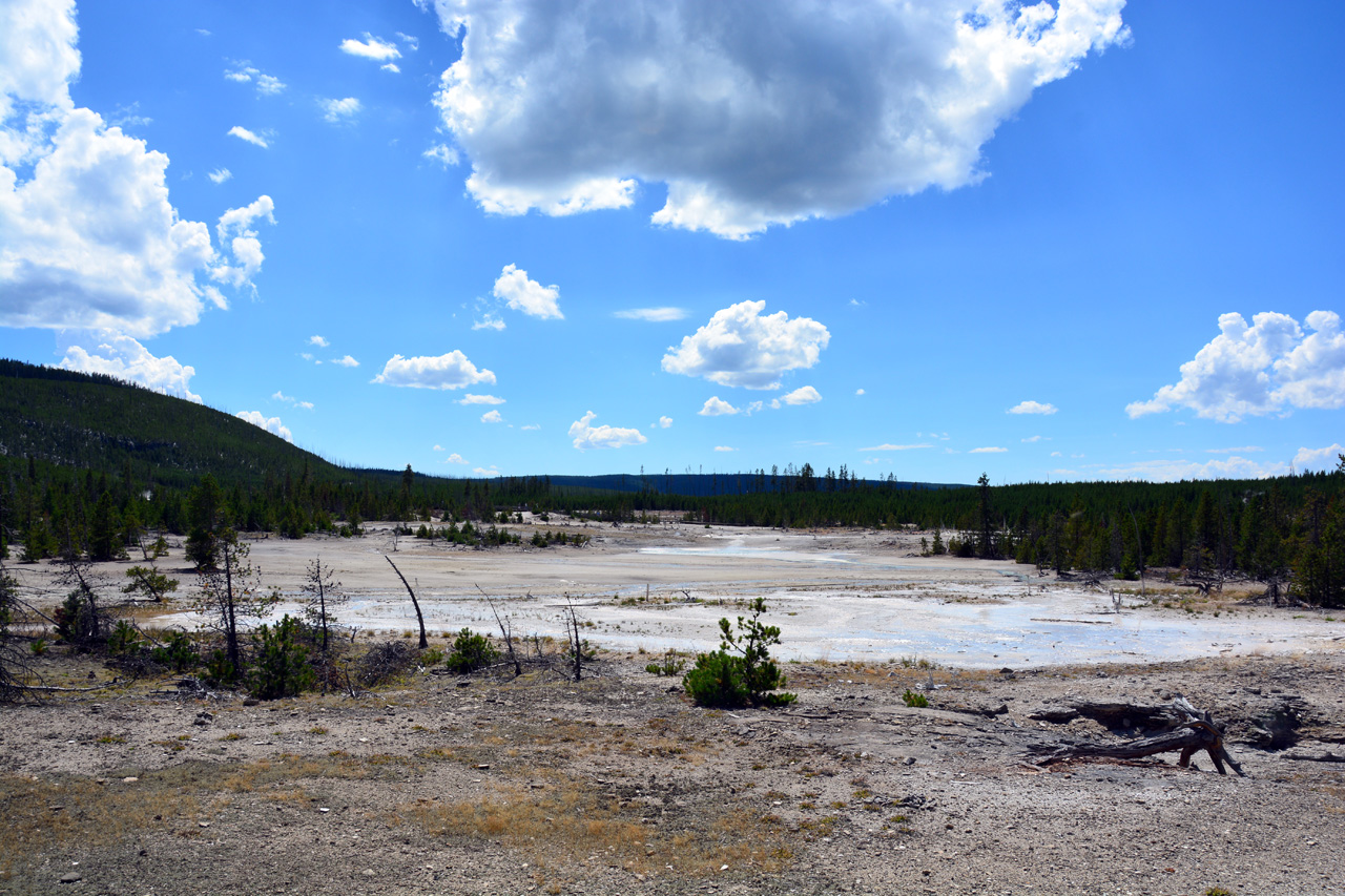 2015-07-26, 107, Yellowstone NP, WY, Norris Geyser Basin