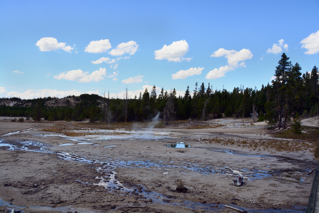 2015-07-26, 113, Yellowstone NP, WY, Norris Geyser Basin