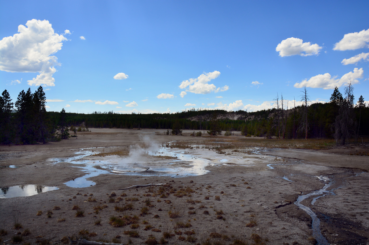 2015-07-26, 114, Yellowstone NP, WY, Norris Geyser Basin